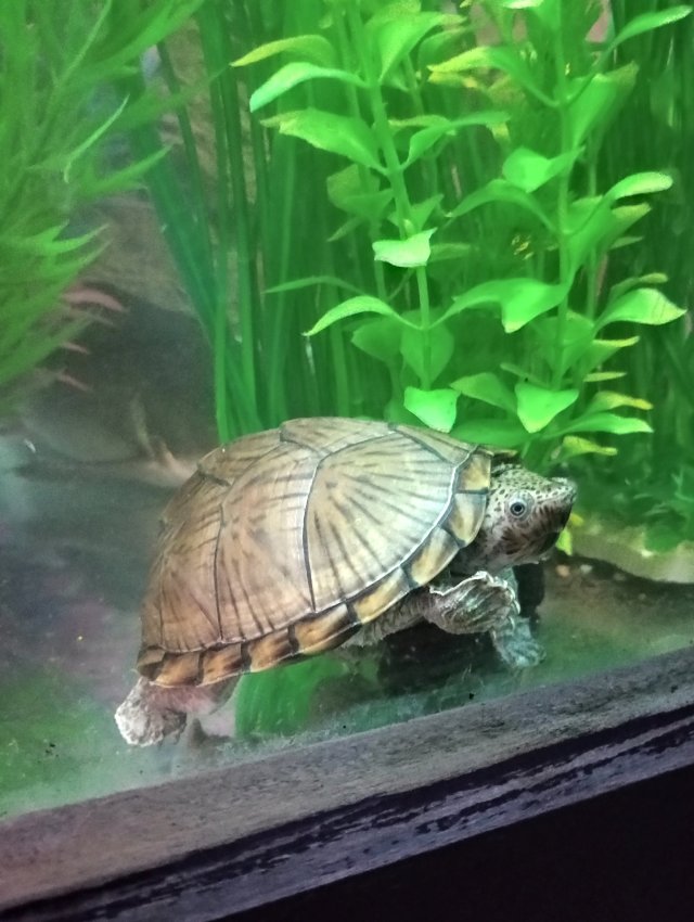 1000006125.jpg 1000006125.jpg