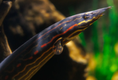 Screenshot 2026-01-12 8.03.20 AM.png