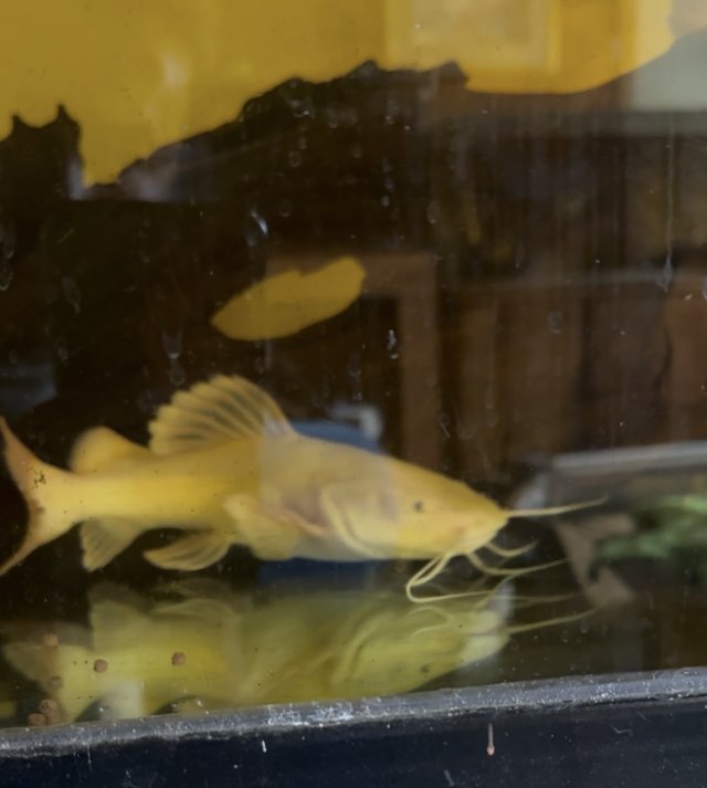 IMG_9094.jpeg IMG_9094.jpeg