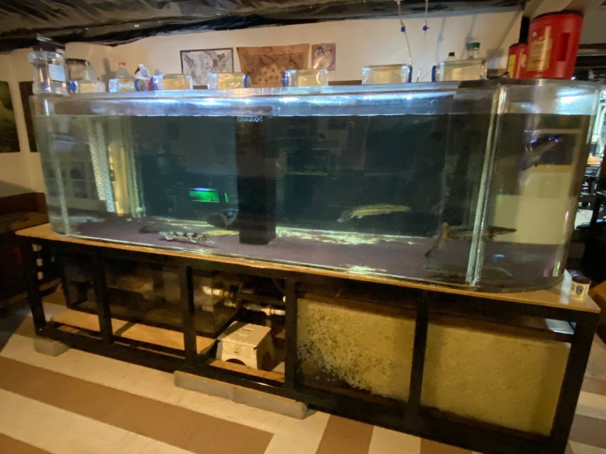 C381D7C1-04AC-4A63-883D-4963BFE3FCA4.jpeg C381D7C1-04AC-4A63-883D-4963BFE3FCA4.jpeg