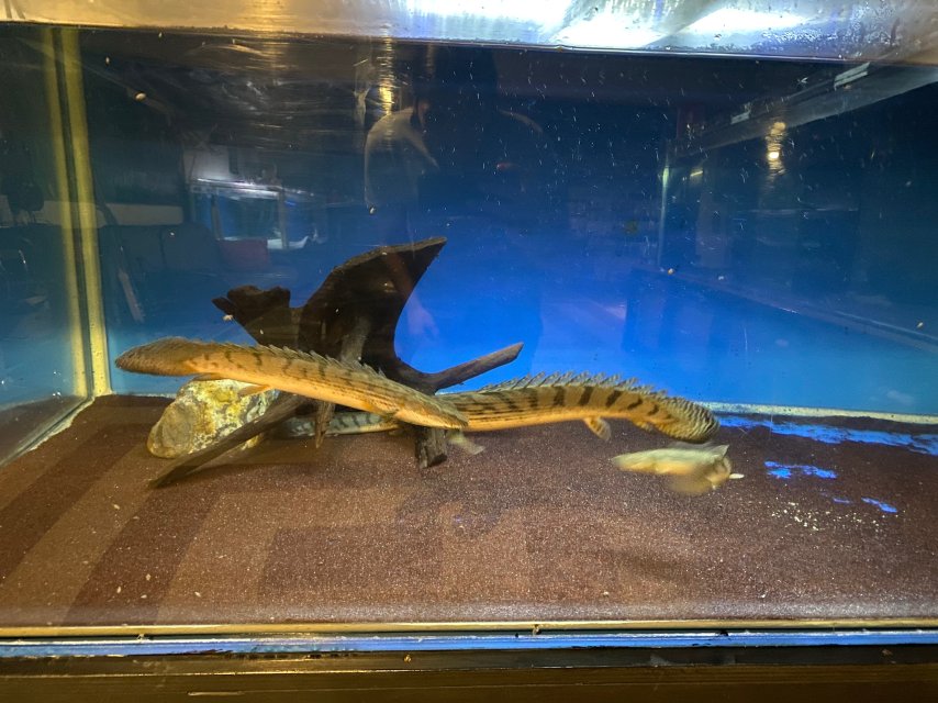 F507B2C4-445A-4ACD-922C-B1A4E1E4ABFC.jpeg F507B2C4-445A-4ACD-922C-B1A4E1E4ABFC.jpeg