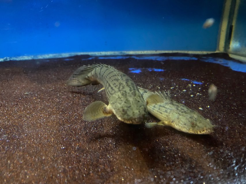 D17BCEBE-CEC2-4717-A286-B920BA5A86CF.jpeg D17BCEBE-CEC2-4717-A286-B920BA5A86CF.jpeg