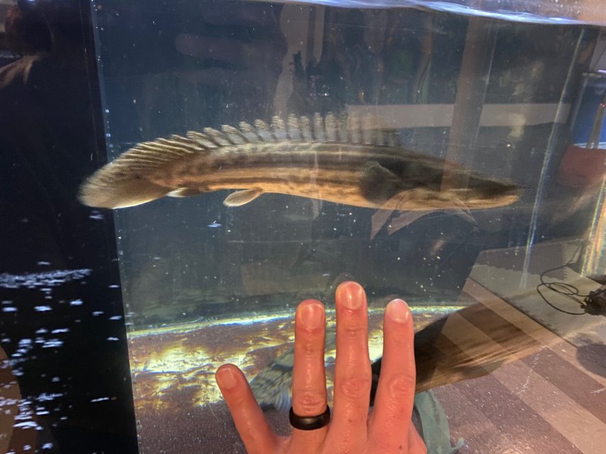 F6E96397-67B9-473F-B21C-0BE3E2E72C46.jpeg F6E96397-67B9-473F-B21C-0BE3E2E72C46.jpeg