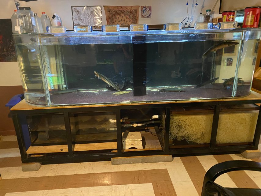 373A1E3C-5FD9-4514-ABC3-E1242B6304A6.jpeg 373A1E3C-5FD9-4514-ABC3-E1242B6304A6.jpeg