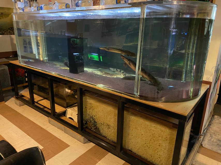 3F222DE1-AF02-4EBA-ADA2-95074F48FBF4.jpeg 3F222DE1-AF02-4EBA-ADA2-95074F48FBF4.jpeg