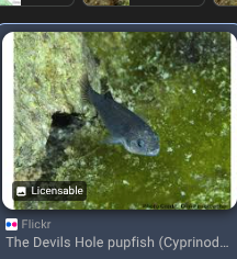 Screenshot 2026-01-16 8.20.54 AM.png