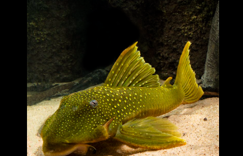 Screenshot 2026-01-08 8.58.46 AM.png