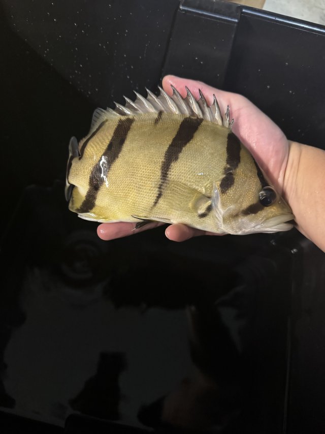 IMG_7858.jpeg IMG_7858.jpeg