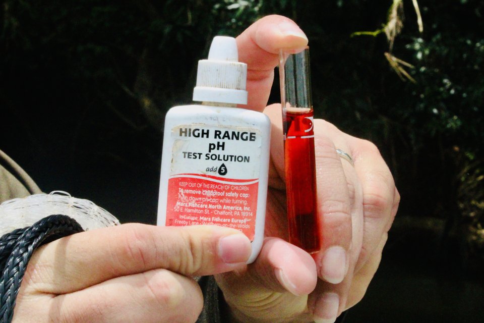 IMG_4811.jpeg IMG_4811.jpeg