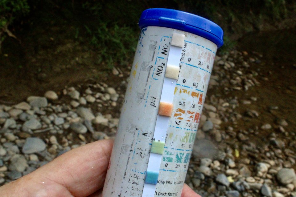 IMG_3811.jpeg IMG_3811.jpeg