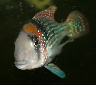 1769007003793.png 1769007003793.png