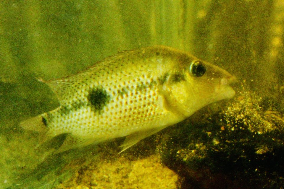 IMG_5699.jpeg IMG_5699.jpeg