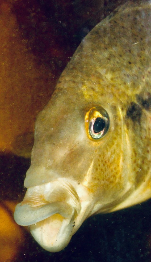 IMG_7829.jpeg IMG_7829.jpeg