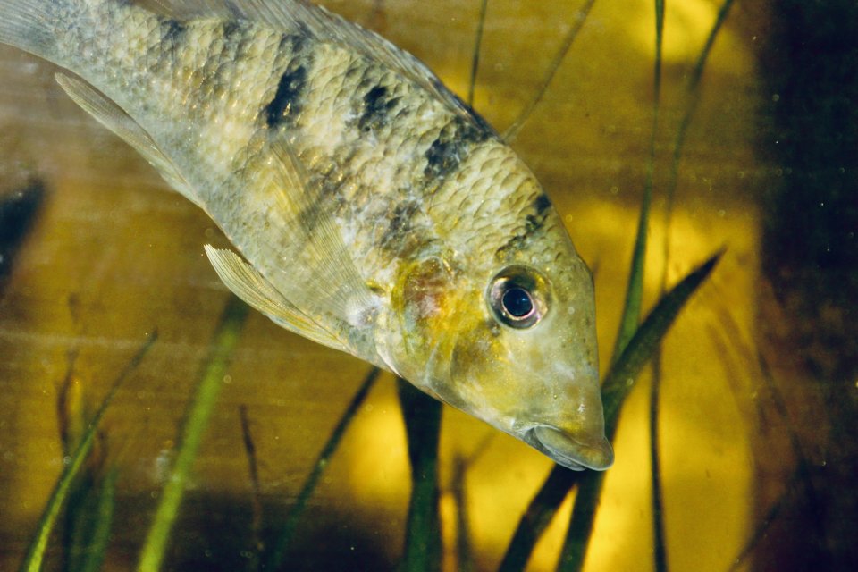 IMG_0973.jpeg IMG_0973.jpeg