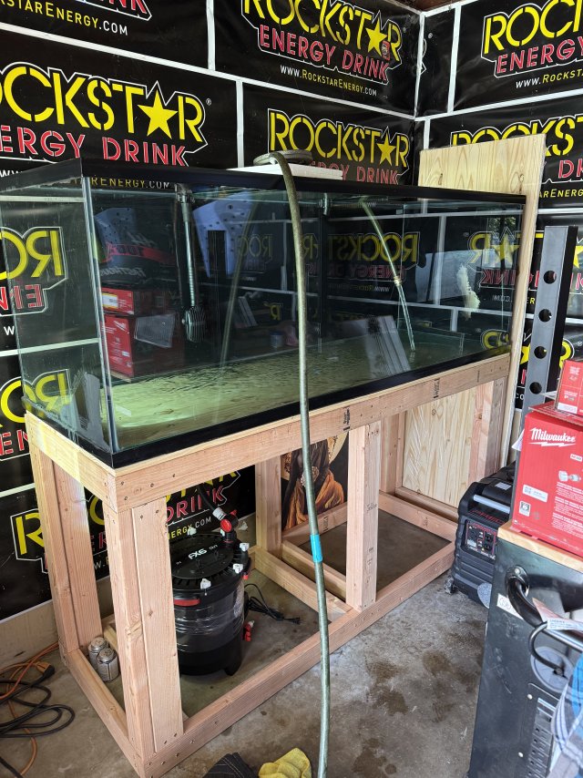 IMG_4470.jpeg IMG_4470.jpeg