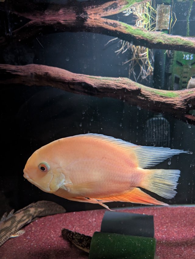 PXL_20251017_025444705.jpg PXL_20251017_025444705.jpg