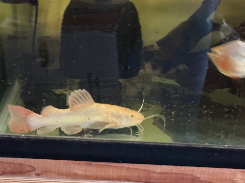 IMG_9197.jpeg IMG_9197.jpeg