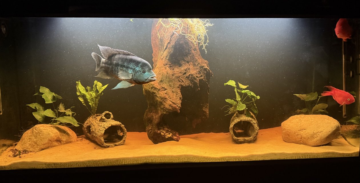 IMG_2642.jpeg IMG_2642.jpeg