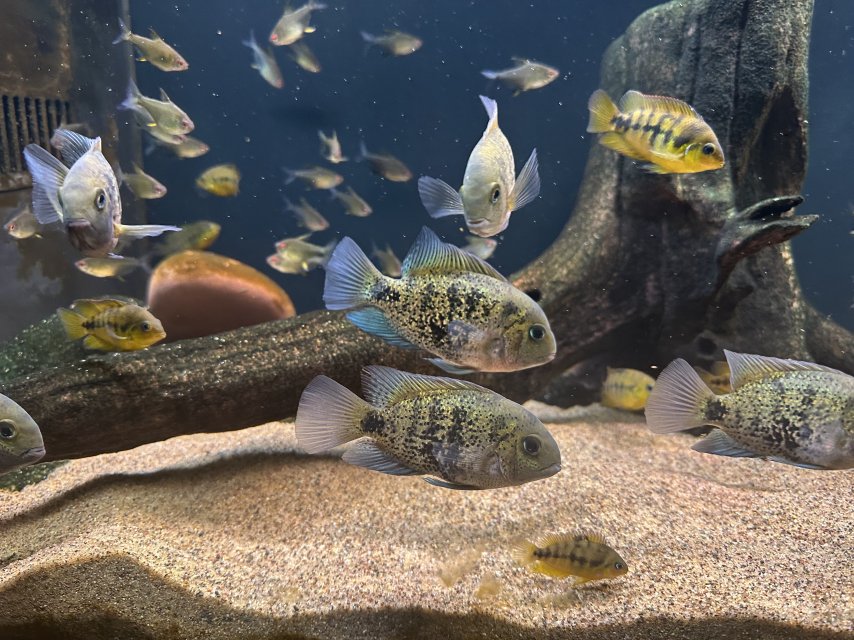 1769229673945.jpeg 1769229673945.jpeg