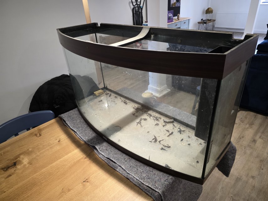 1000112297.jpg 1000112297.jpg