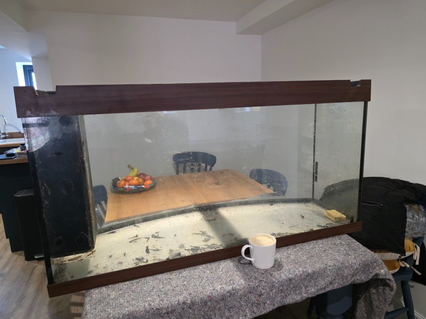 1000112296.jpg 1000112296.jpg