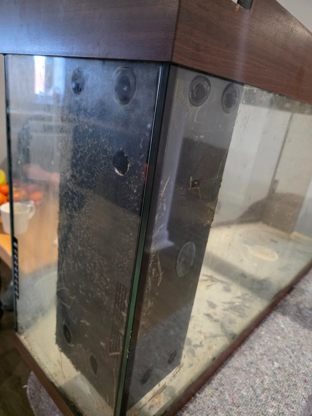 1000112305.jpg 1000112305.jpg