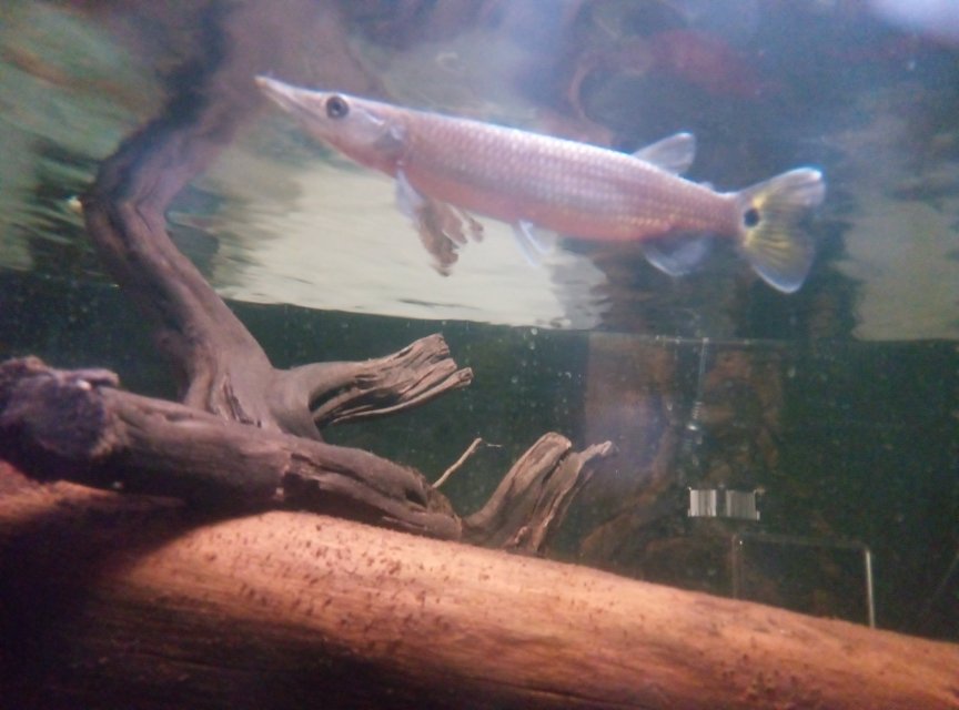 IMG_20260119_155855_025.jpg IMG_20260119_155855_025.jpg