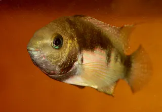 1769281428169.png 1769281428169.png