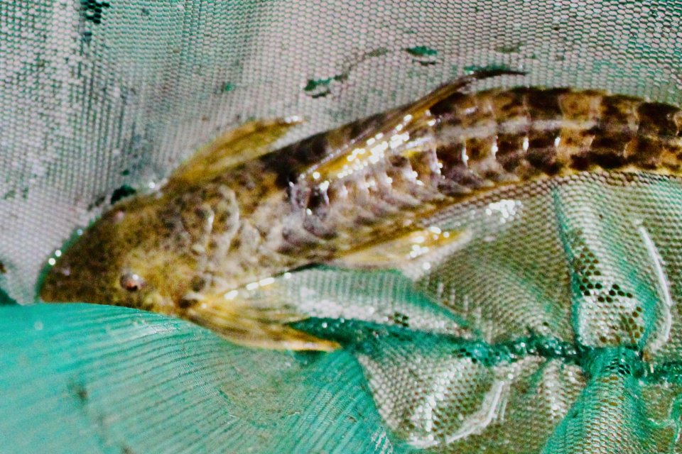 IMG_4045.jpeg IMG_4045.jpeg