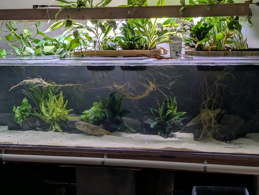 1000012681.jpg 1000012681.jpg