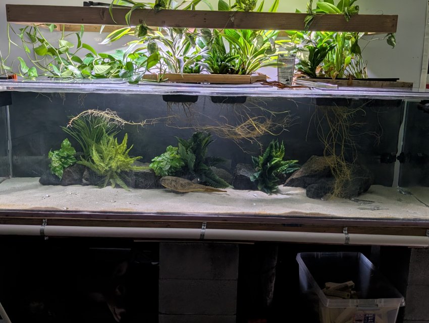 1000012682.jpg 1000012682.jpg