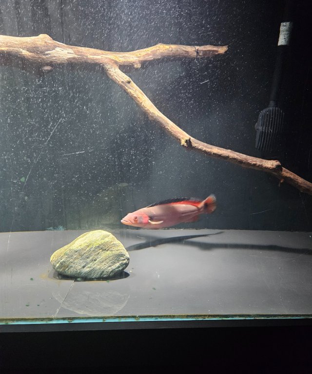 1000012314.jpg 1000012314.jpg