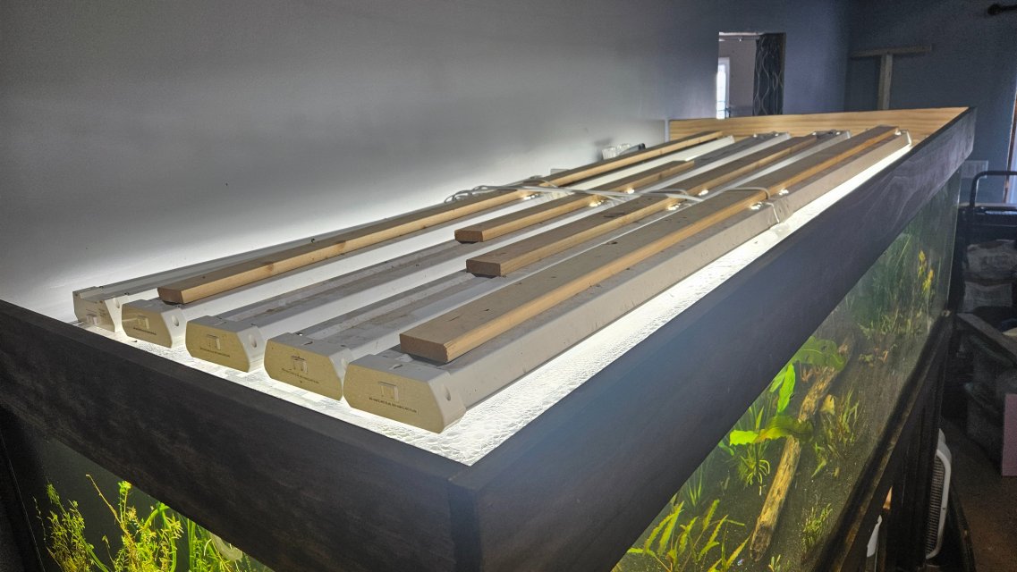 1000009559.jpg 1000009559.jpg