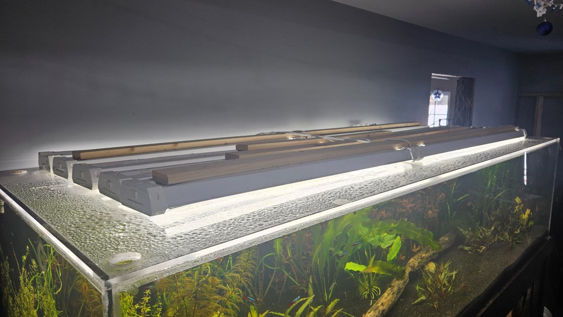 1000009558.jpg 1000009558.jpg