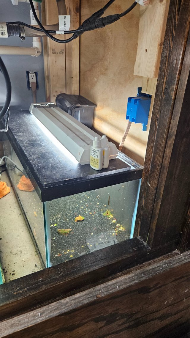 1000009568.jpg 1000009568.jpg