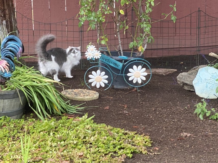 E9AF53BA-8169-4A3A-A34B-4D80C98AEA81.jpeg E9AF53BA-8169-4A3A-A34B-4D80C98AEA81.jpeg