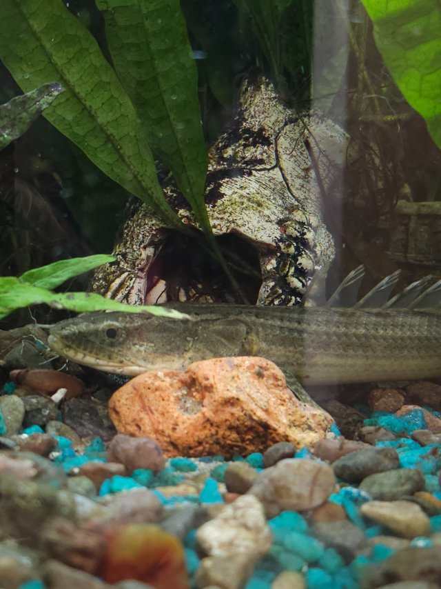 20260112_171221 (1).jpg