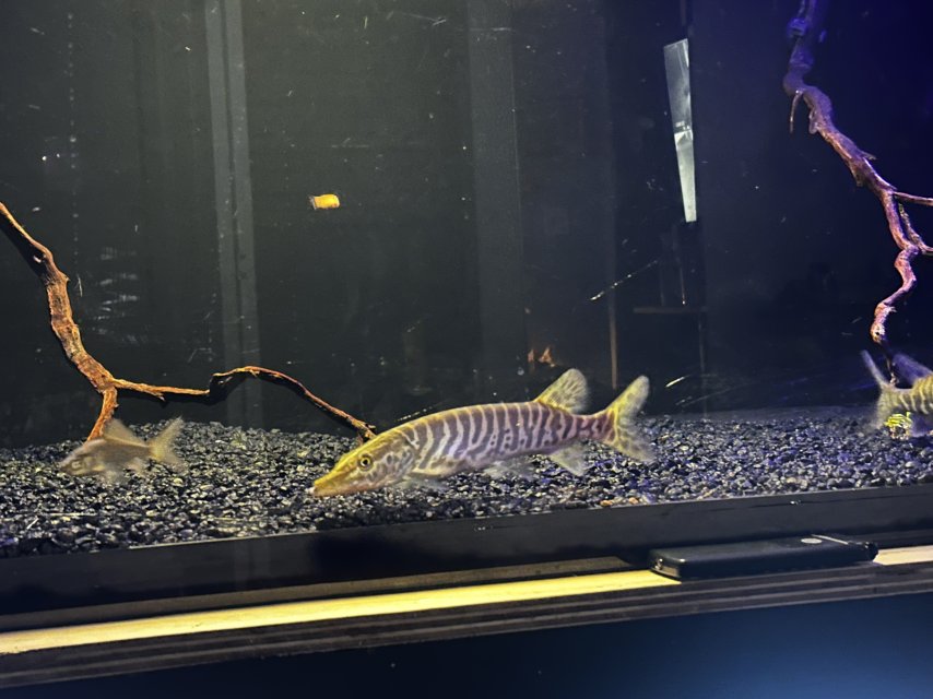 IMG_5439.jpeg IMG_5439.jpeg