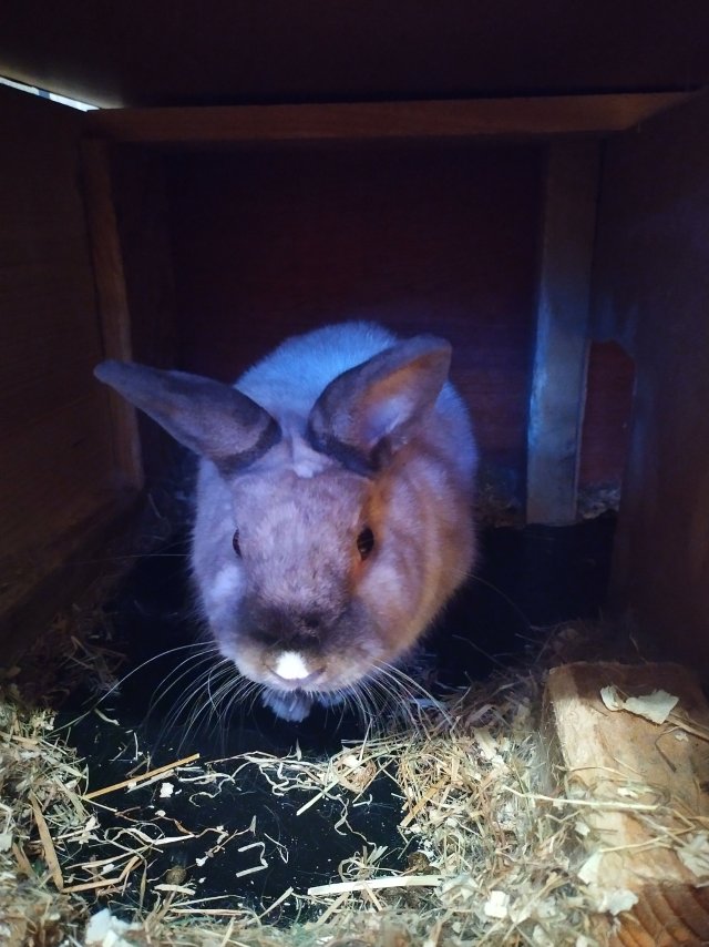 IMG_20260130_164521_HDR.jpg IMG_20260130_164521_HDR.jpg