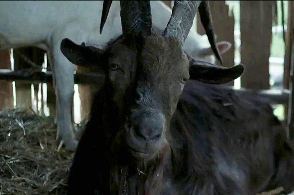 1769794289457.jpeg 1769794289457.jpeg