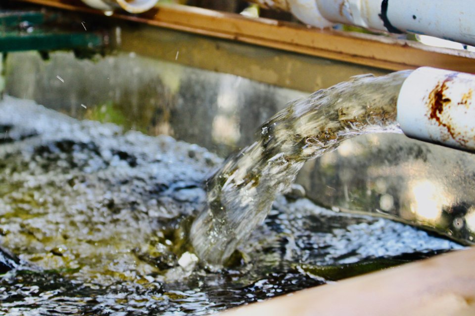 IMG_0183.jpeg IMG_0183.jpeg