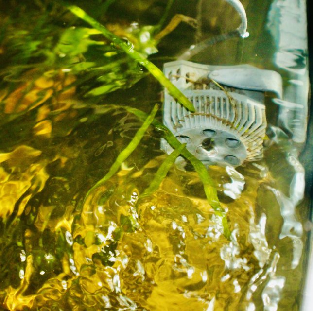 IMG_4041.jpeg IMG_4041.jpeg