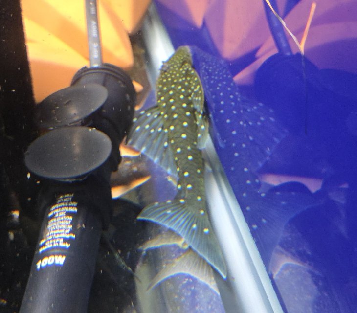 2026-01-23 11.59.16.jpg