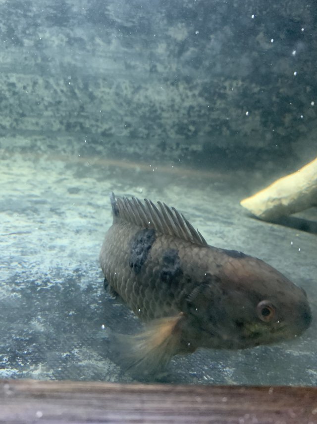 IMG_8982.jpeg IMG_8982.jpeg