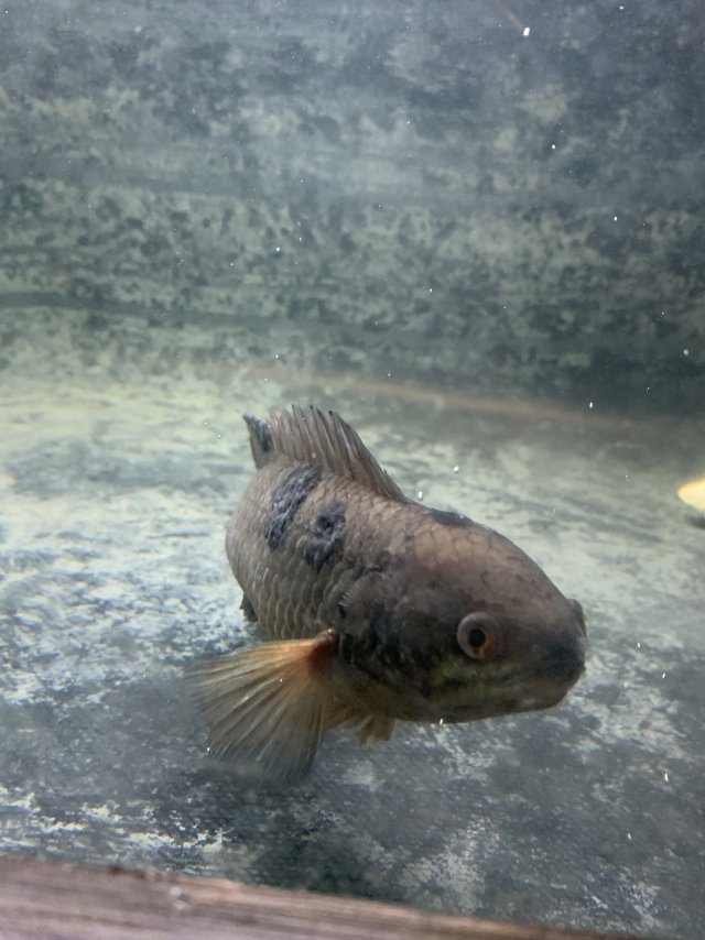 IMG_8981.jpeg IMG_8981.jpeg