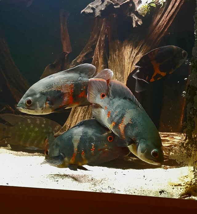 20260116_141736.jpg 20260116_141736.jpg