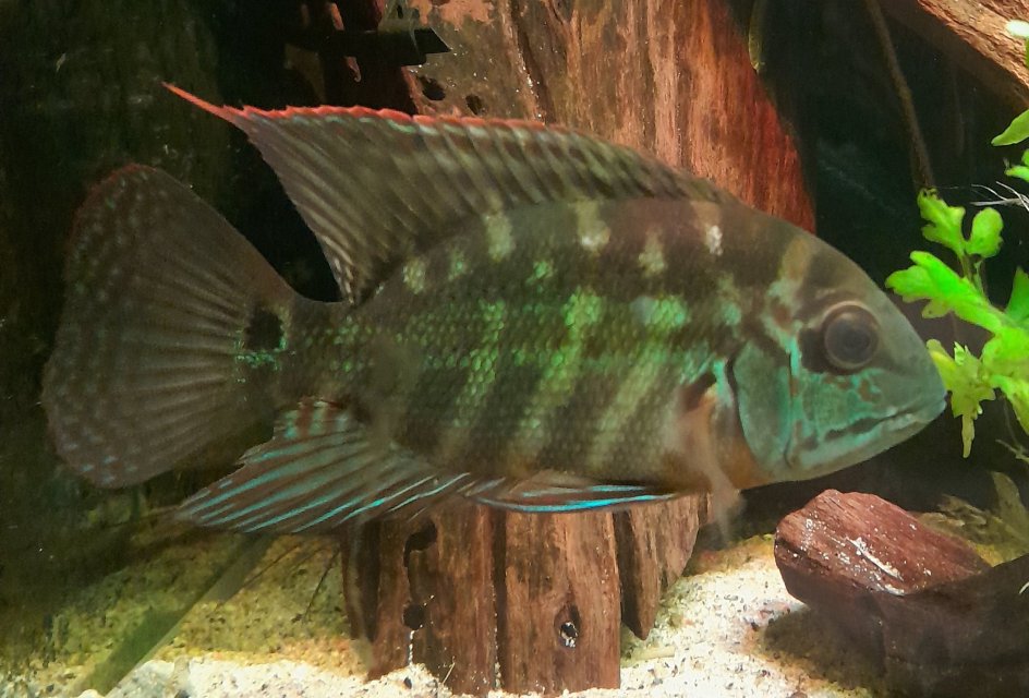 20251031_174957.jpg 20251031_174957.jpg