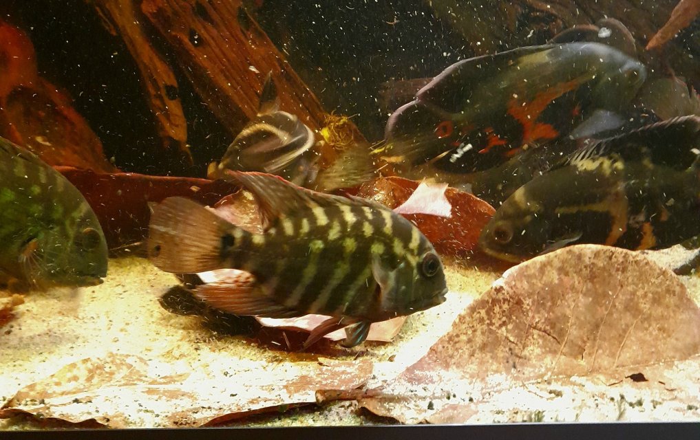 20251226_114357.jpg 20251226_114357.jpg