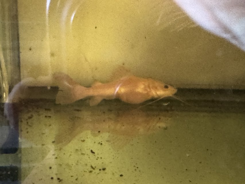 IMG_9356.jpeg IMG_9356.jpeg