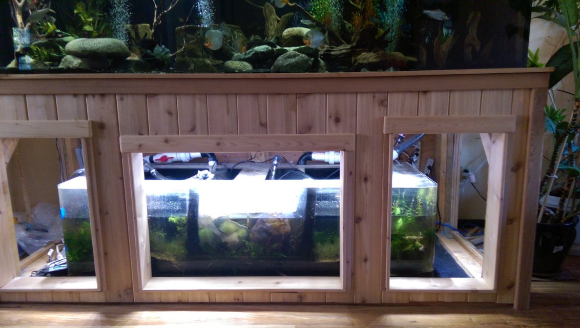 WP_20150718_021.jpg WP_20150718_021.jpg